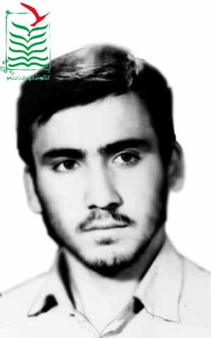 حسن حکیم پور