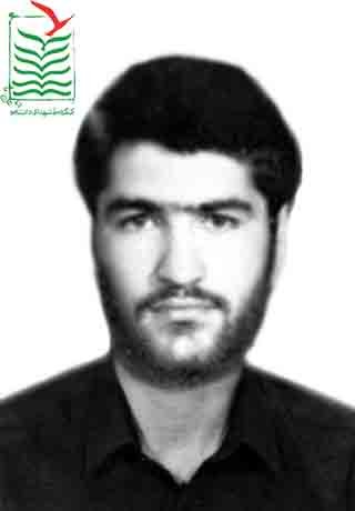 محمود محمدی